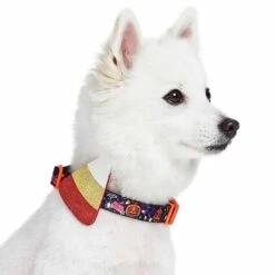 Halloween Candy Corn Dog Collar For Festive Pets
