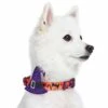 Halloween Dog Collar With Pumpkins Ghosts Witch Hat Design -Dog & Cat Store 1440207048 4 718d3a36 ddd3 48d5 9d62 b37a1d29aa76