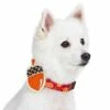 Fall Pumpkin And Acorn Thanksgiving Dog Collar For Pets -Dog & Cat Store 1440209042 4 de54e01e caf9 40fe 80af b249e9295e1c