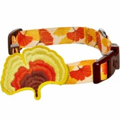 Fall Ginkgo Biloba Leaf Thanksgiving Dog Collar For Pets -Dog & Cat Store 1440210048 1 cc316f76 7a08 40e1 b193 4c01e6d43a32