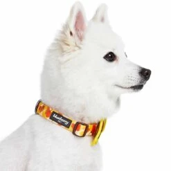 Fall Ginkgo Biloba Leaf Thanksgiving Dog Collar For Pets -Dog & Cat Store 1440210048 5 d9c4565a d619 4fa6 9771 30aa80ccf3d0
