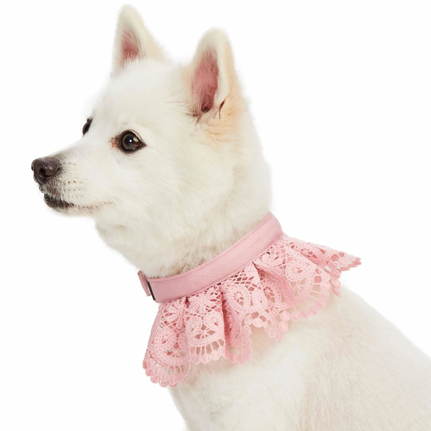 Cute Floral Lace Dog Collar Adjustable Accessory For Pets 11 Cute Floral Lace Dog Collar Adjustable Accessory For Pets - Image 11