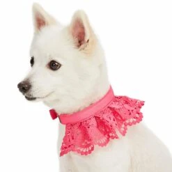 Cute Floral Lace Dog Collar Adjustable Accessory For Pets 38 Cute Floral Lace Dog Collar Adjustable Accessory For Pets -Dog & Cat Store 1440216040 4