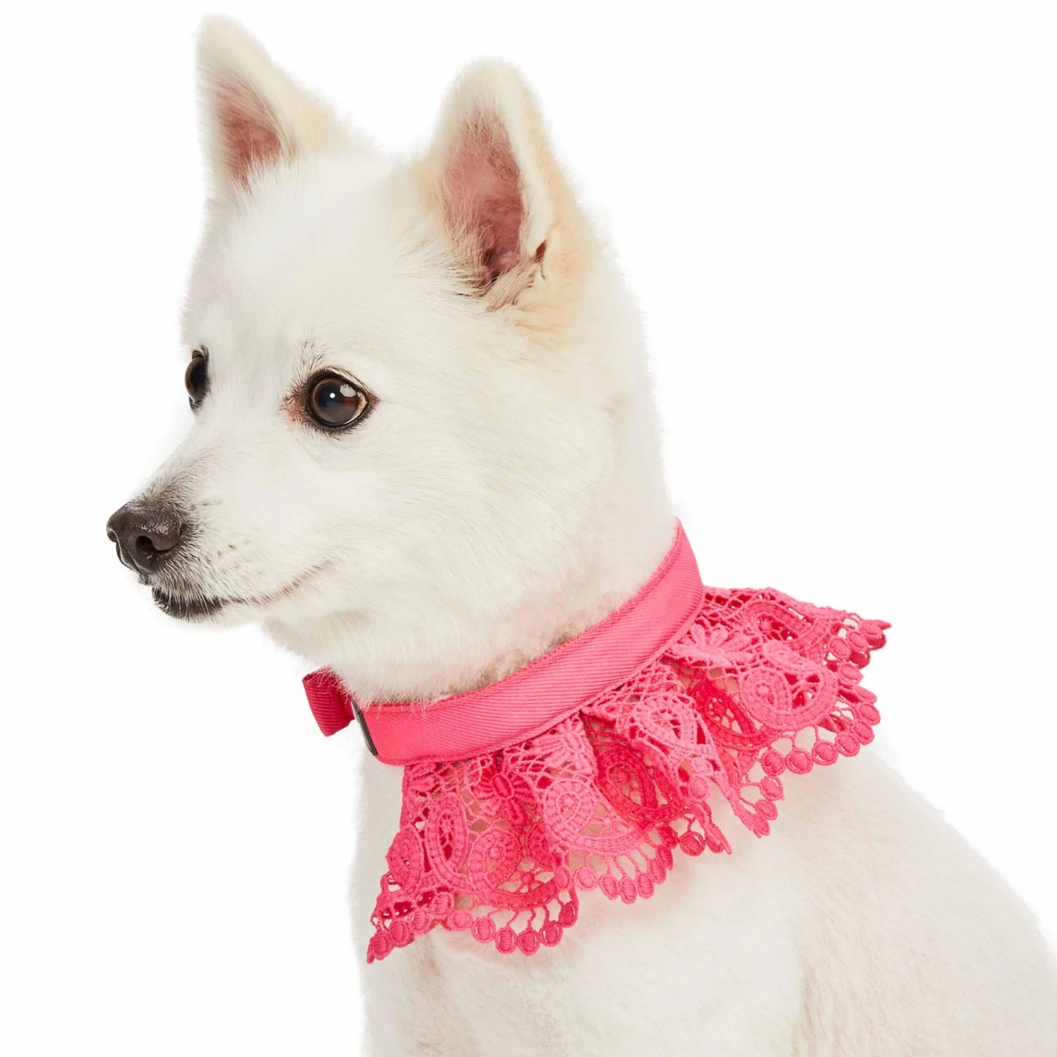 Cute Floral Lace Dog Collar Adjustable Accessory For Pets 19 Cute Floral Lace Dog Collar Adjustable Accessory For Pets - Image 19