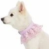 Cute Floral Lace Dog Collar Adjustable Accessory For Pets