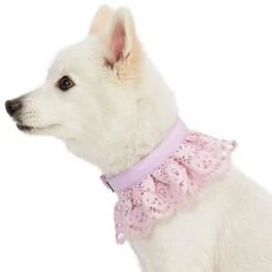 Cute Floral Lace Dog Collar Adjustable Accessory For Pets