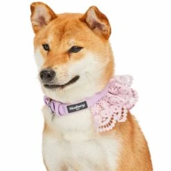 Cute Floral Lace Dog Collar Adjustable Accessory For Pets 22 Cute Floral Lace Dog Collar Adjustable Accessory For Pets -Dog & Cat Store 1440217047 6