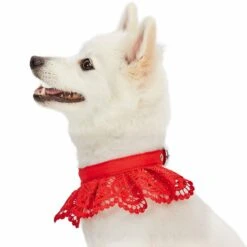 Cute Floral Lace Dog Collar Adjustable Accessory For Pets 25 Cute Floral Lace Dog Collar Adjustable Accessory For Pets -Dog & Cat Store 1440218044 4