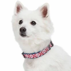 Southwestern Pattern Jacquard Weave Dog Collar - Chic Design -Dog & Cat Store 1440219041 3