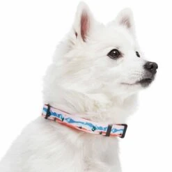 Blueberry Pet X Jackelyn Ho Dog Collar For Summer Adventures -Dog & Cat Store 1440221044 3 421dcd5a 027b 40da bd69 fb5921ba67fe