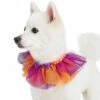 Halloween Thanksgiving Party Costume Dog Collar In Warm Tone -Dog & Cat Store 1440229026 3