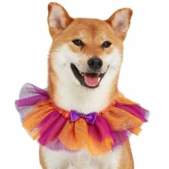 Halloween Thanksgiving Party Costume Dog Collar In Warm Tone 7 Halloween Thanksgiving Party Costume Dog Collar In Warm Tone -Dog & Cat Store 1440229026 4