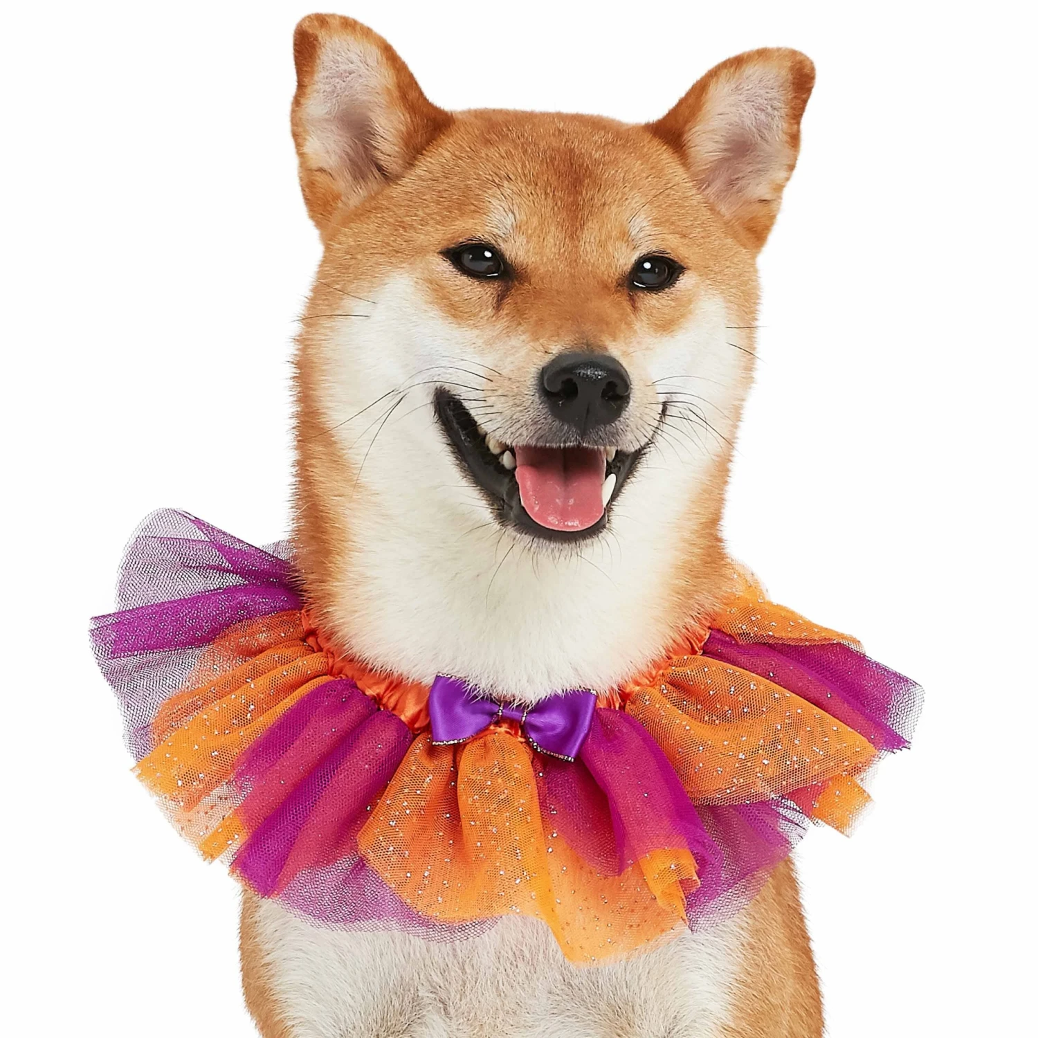 Halloween Thanksgiving Party Costume Dog Collar In Warm Tone 3 Halloween Thanksgiving Party Costume Dog Collar In Warm Tone - Image 3