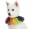 Halloween Thanksgiving Party Costume Dog Collar In Cool Tone 11 Halloween Thanksgiving Party Costume Dog Collar In Cool Tone -Dog & Cat Store 1440230022 3