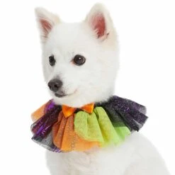 Halloween Thanksgiving Party Costume Dog Collar In Cool Tone