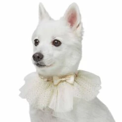 Dog Of Honor Wedding Princess Lace Dog Collar For Pets -Dog & Cat Store 1440234020 2