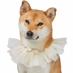 Dog Of Honor Wedding Princess Lace Dog Collar For Pets -Dog & Cat Store 1440234020 3