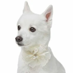 Dog Of Honor Wedding Princess Lace Dog Collar For Pets -Dog & Cat Store 1440237021 2