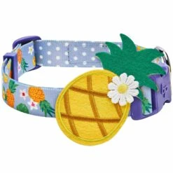 Zesty Fruit Dog Collar For Stylish Summer Adventures