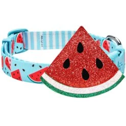 Zesty Fruit Dog Collar For Stylish Summer Adventures -Dog & Cat Store 1440244043 1 1 a0824655 8fbe 4a59 ae22 53e76d1210b8