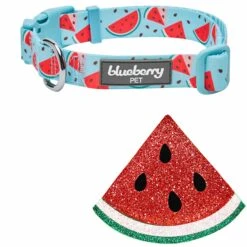 Zesty Fruit Dog Collar For Stylish Summer Adventures -Dog & Cat Store 1440244043 2 1 966771b3 56bc 4426 bb90 456d5a5df35e