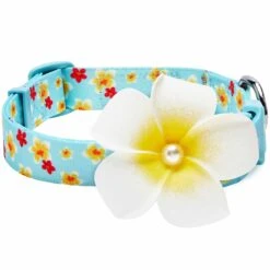 Tropical Yellow Plumeria Flower Dog Collar For Stylish Pets