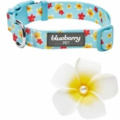 Tropical Yellow Plumeria Flower Dog Collar For Stylish Pets 15 Tropical Yellow Plumeria Flower Dog Collar For Stylish Pets -Dog & Cat Store 1440246047 2