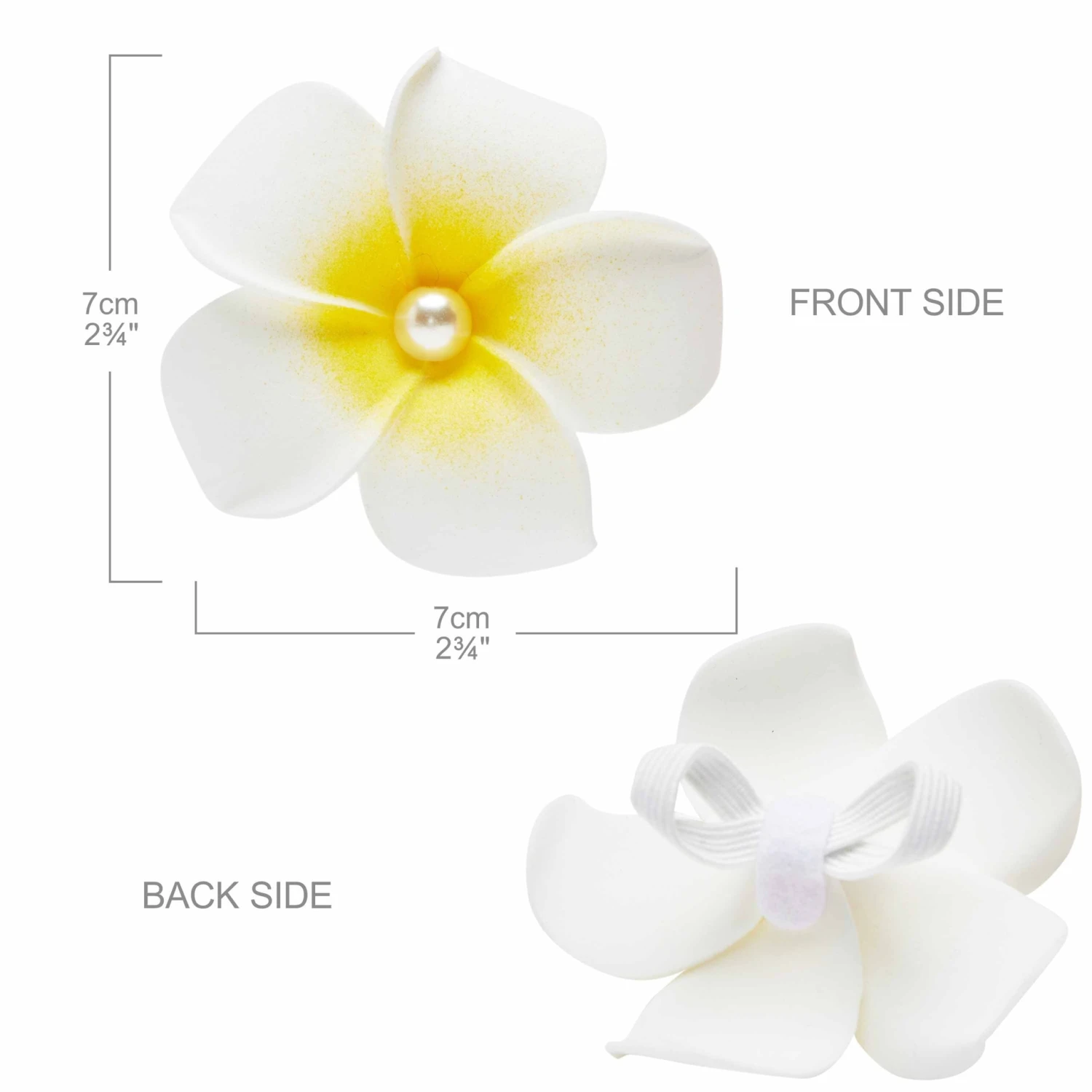 Tropical Yellow Plumeria Flower Dog Collar For Stylish Pets 6 Tropical Yellow Plumeria Flower Dog Collar For Stylish Pets - Image 6