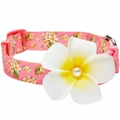 Tropical Yellow Plumeria Flower Dog Collar For Stylish Pets 17 Tropical Yellow Plumeria Flower Dog Collar For Stylish Pets -Dog & Cat Store 1440247044 1