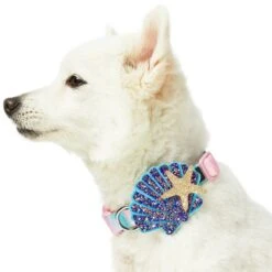 Enchanting Sea Dog Collar For Stylish Summer Adventures -Dog & Cat Store 1440248041 4 1