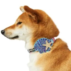 Enchanting Sea Dog Collar For Stylish Summer Adventures -Dog & Cat Store 1440248041 5 1