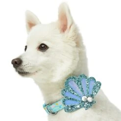 Enchanting Sea Dog Collar For Stylish Summer Adventures -Dog & Cat Store 1440249048 4 1