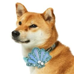 Enchanting Sea Dog Collar For Stylish Summer Adventures -Dog & Cat Store 1440249048 5 1