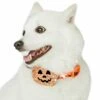 Halloween Party Dog Collar With Pumpkins Bats Ghosts Design -Dog & Cat Store 1440250044 6