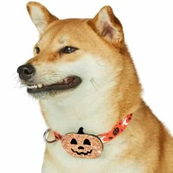 Halloween Party Dog Collar With Pumpkins Bats Ghosts Design -Dog & Cat Store 1440250044 8