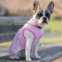 Wonderland Floral Dog Dress In Pink Stripe For Stylish Pups 10 Wonderland Floral Dog Dress In Pink Stripe For Stylish Pups -Dog & Cat Store 18 2