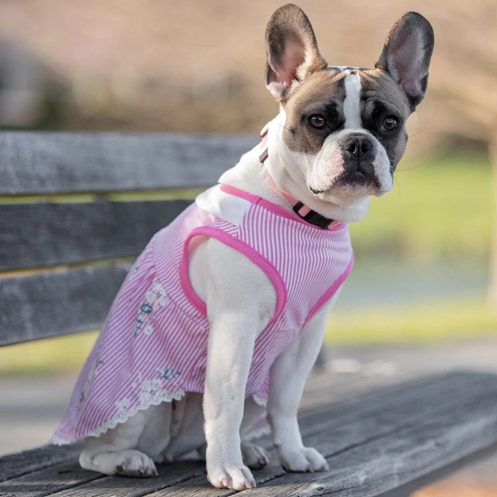 Wonderland Floral Dog Dress In Pink Stripe For Stylish Pups 4 Wonderland Floral Dog Dress In Pink Stripe For Stylish Pups - Image 4