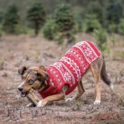 Holiday Family Matching Sweater In True Red For All -Dog & Cat Store 18 a4a266d1 6c84 400c b1bb 7ebe4b0a1bfd