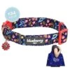 Floral Dog Collar & Shopping Bag Set For Stylish Outings -Dog & Cat Store 1 a999e76b bee4 43ba 8f83 6de23c12af53