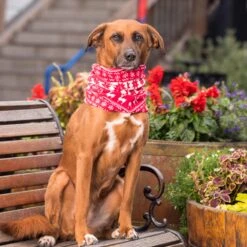 Ultra-Soft Fleece Christmas Dog Sweater For Festive Fun 35 Ultra-Soft Fleece Christmas Dog Sweater For Festive Fun -Dog & Cat Store 2 3