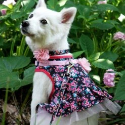 Made Well Floral Dog Collar With Removable Flower Accessory -Dog & Cat Store 2 3 dae26c06 cc12 41c4 9895 297554e9e199