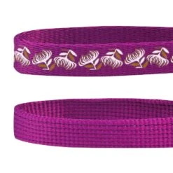 The Floral Power Of All In One Cat Collar 2 Pack Set -Dog & Cat Store 2020150433 6