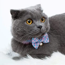 Plaid Bowtie Cat Collar With Pearl For Stylish Felines -Dog & Cat Store 2020150594 3