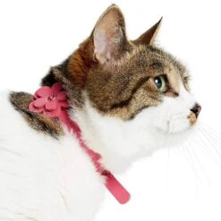 Perfect-Fit Glistering PU Leather Cat Collar With Bell -Dog & Cat Store 2020150839 3