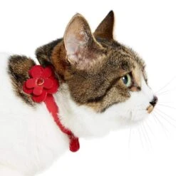 Perfect-Fit Glistering PU Leather Cat Collar With Bell -Dog & Cat Store 2020150846 3