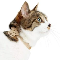 Perfect-Fit Glistering PU Leather Cat Collar With Bell