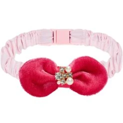Dogs & Cats & Co. Sheer Passion Cat Collar For Pets
