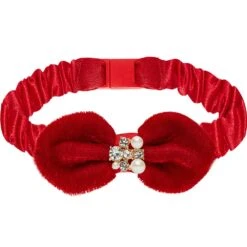 Dogs & Cats & Co. Sheer Passion Cat Collar For Pets -Dog & Cat Store 2020300258 1