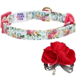 Dogs & Cats & Co. A Scent Of Spring Balloon Flower Cat Collar 22 Dogs & Cats & Co. A Scent Of Spring Balloon Flower Cat Collar -Dog & Cat Store 2020300289 3