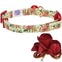 Dogs & Cats & Co. A Scent Of Spring Balloon Flower Cat Collar 26 Dogs & Cats & Co. A Scent Of Spring Balloon Flower Cat Collar -Dog & Cat Store 2020300296 3